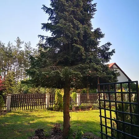 Dom Caloroczny Na Kaszubach * Żuromin
